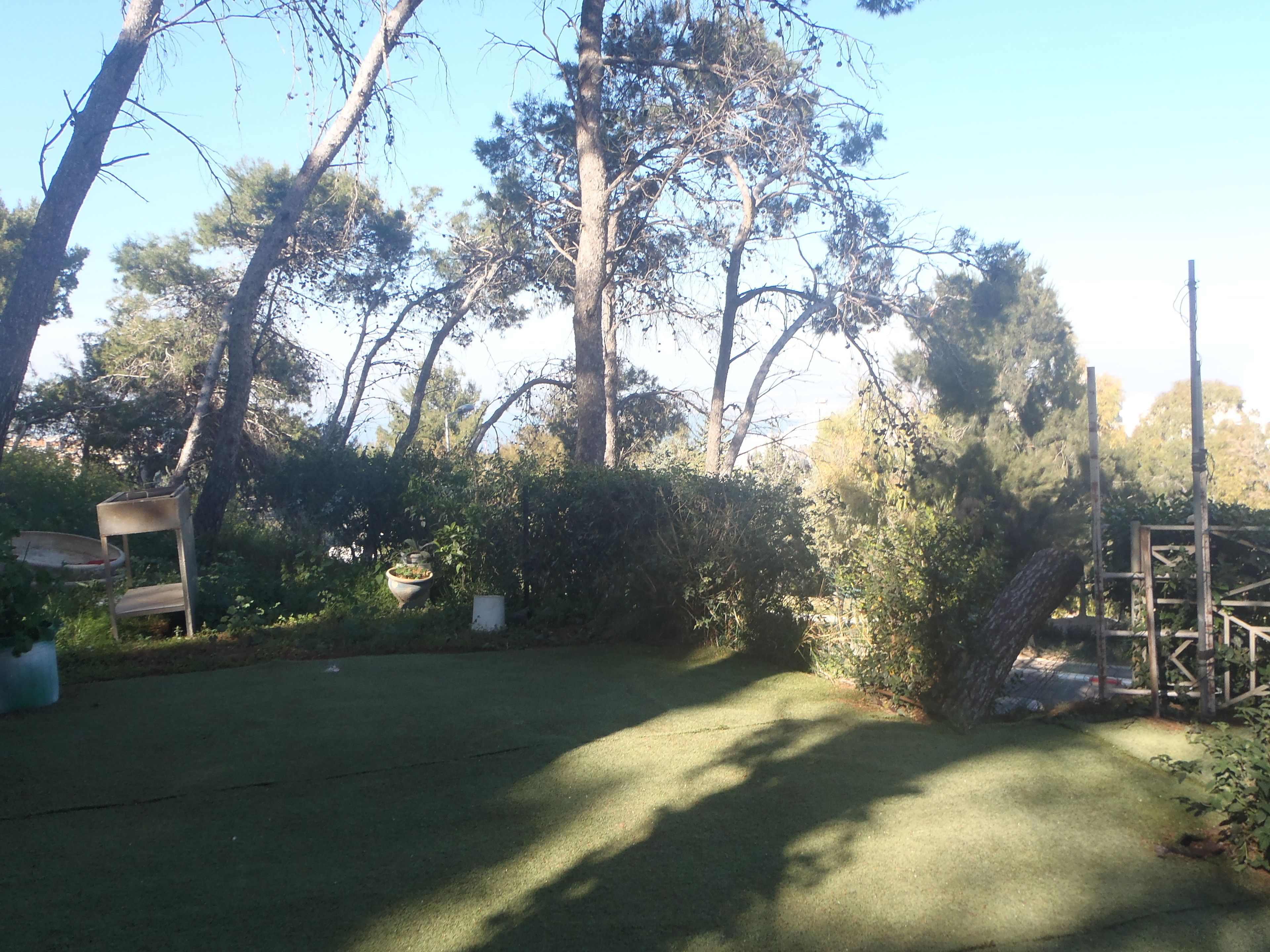 A grassy outdoor area with trees and a metal structure.