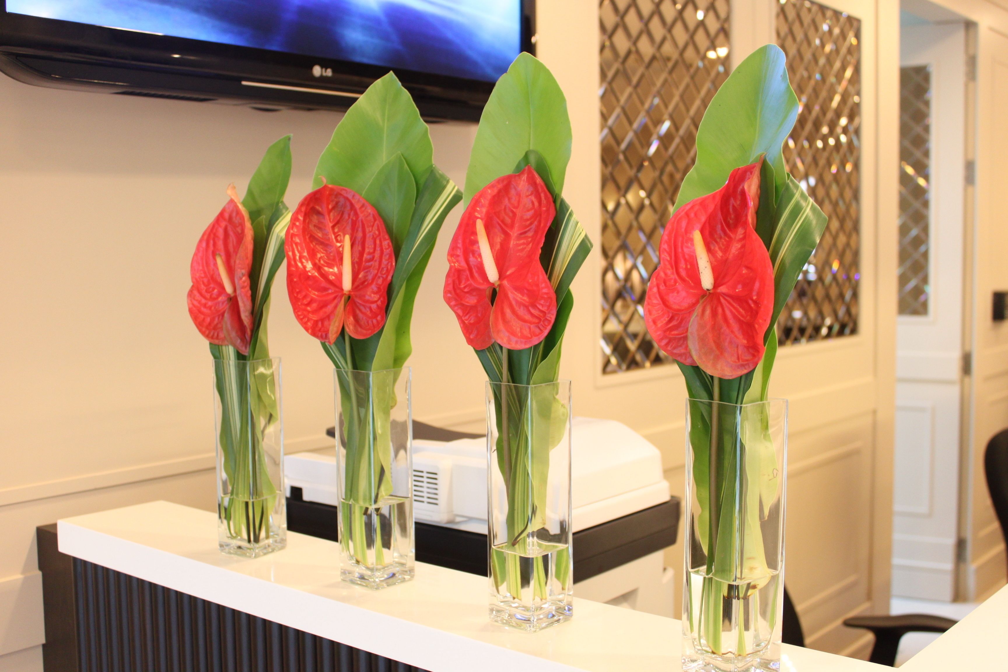 Vier transparente Glasvasen mit roten Blumen und grünen Blättern auf einer weißen Arbeitsplatte.