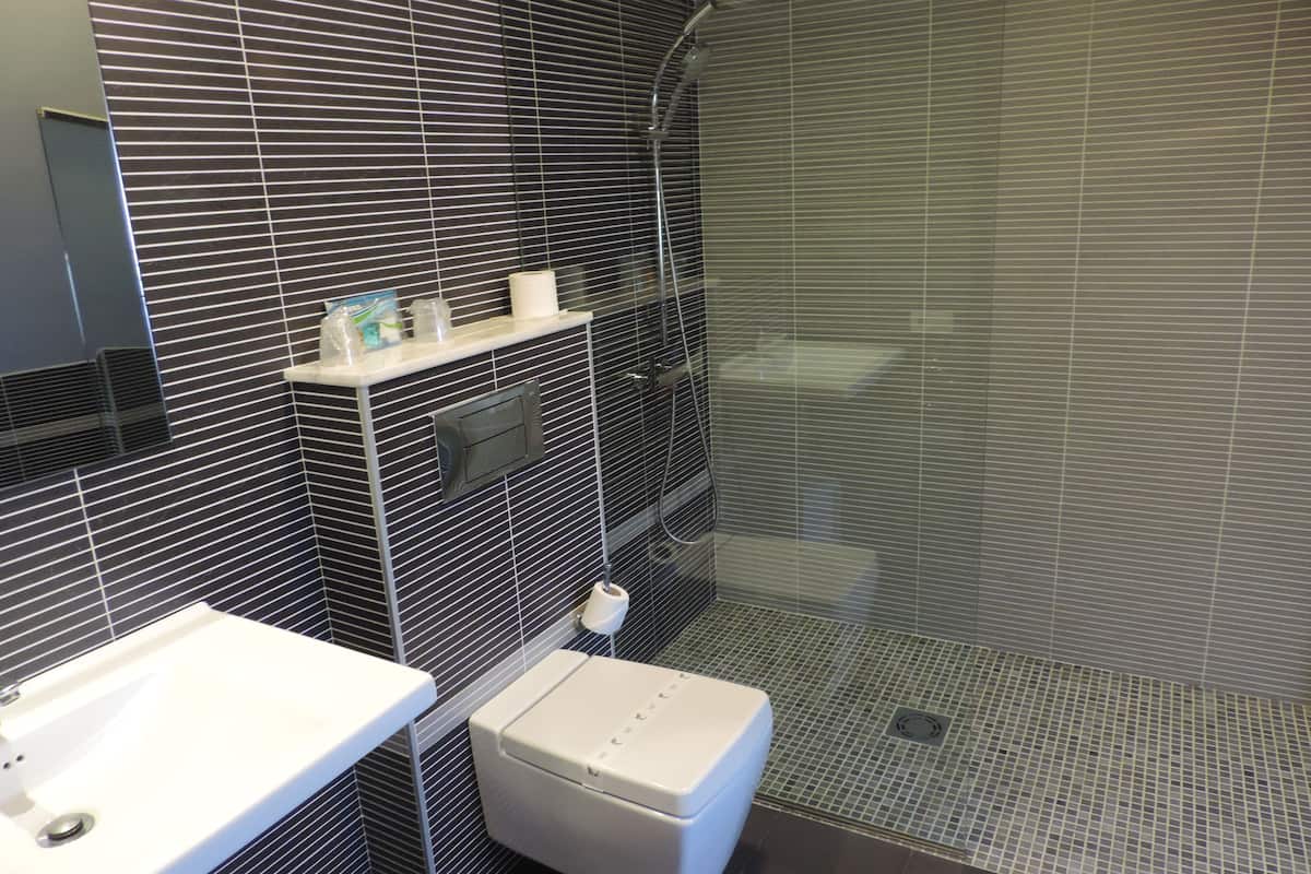 free toiletries, hair dryer, towels