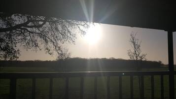 Une vue du soleil qui brille à travers les branches des arbres, avec un champ herbeux et une clôture en bois au premier plan.
