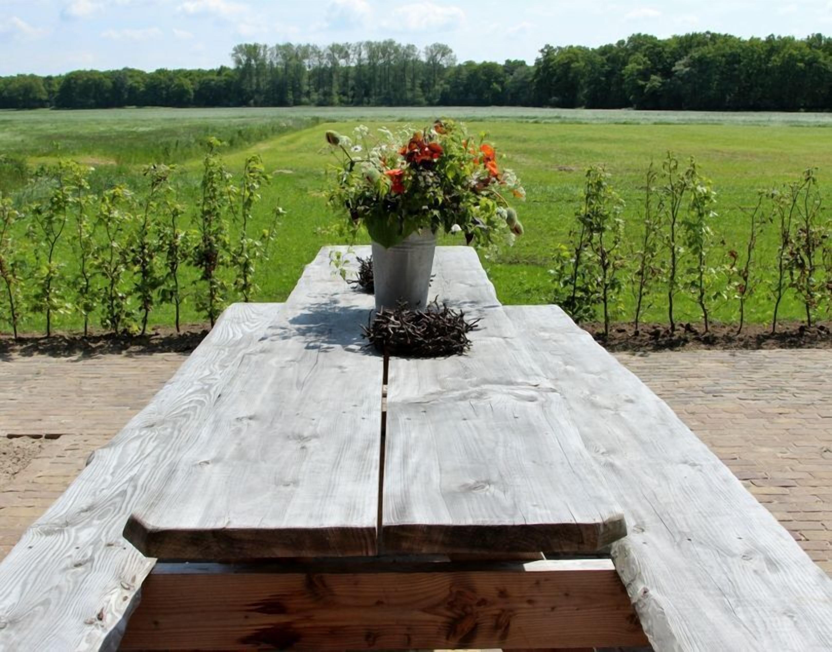 Een houten picknicktafel met een bloempot en een klein decoratief object, voor een achtergrond van een grasveld en bomen.