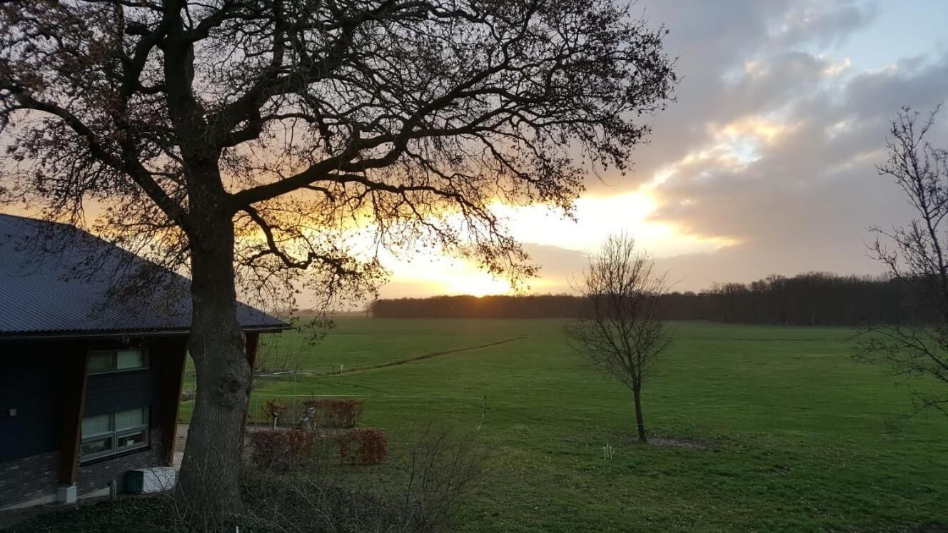 Ländliche Landschaft mit einem großen Baum im Vordergrund, einem Feld und einem Gebäude mit dunklem Dach.