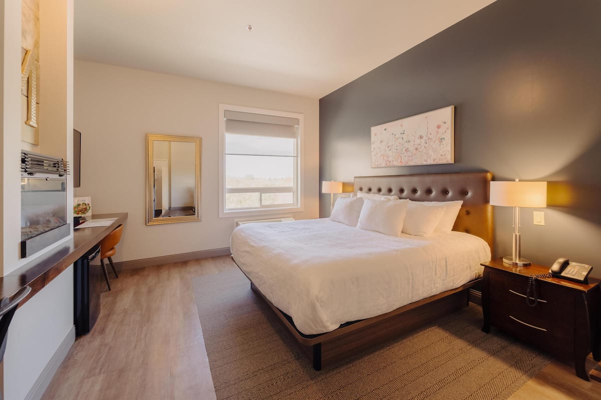 Standard Room, 1 King Bed, Non Smoking (Walk-in Shower)