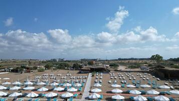 A beach with rows of sun loungers and umbrellas, a clear sky, and distant buildings.