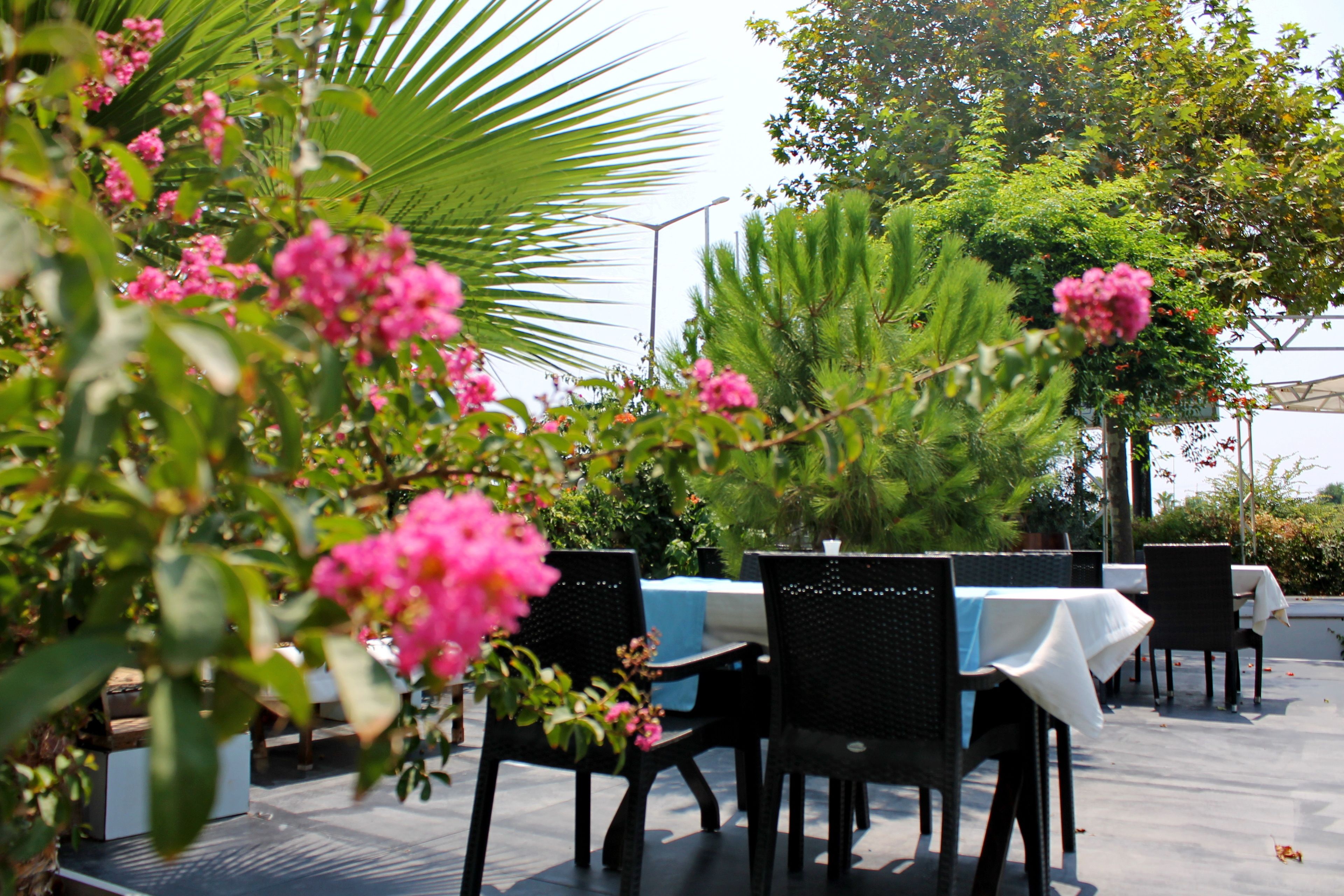 An outdoor dining area with tables and chairs, surrounded by lush greenery and flowering plants.