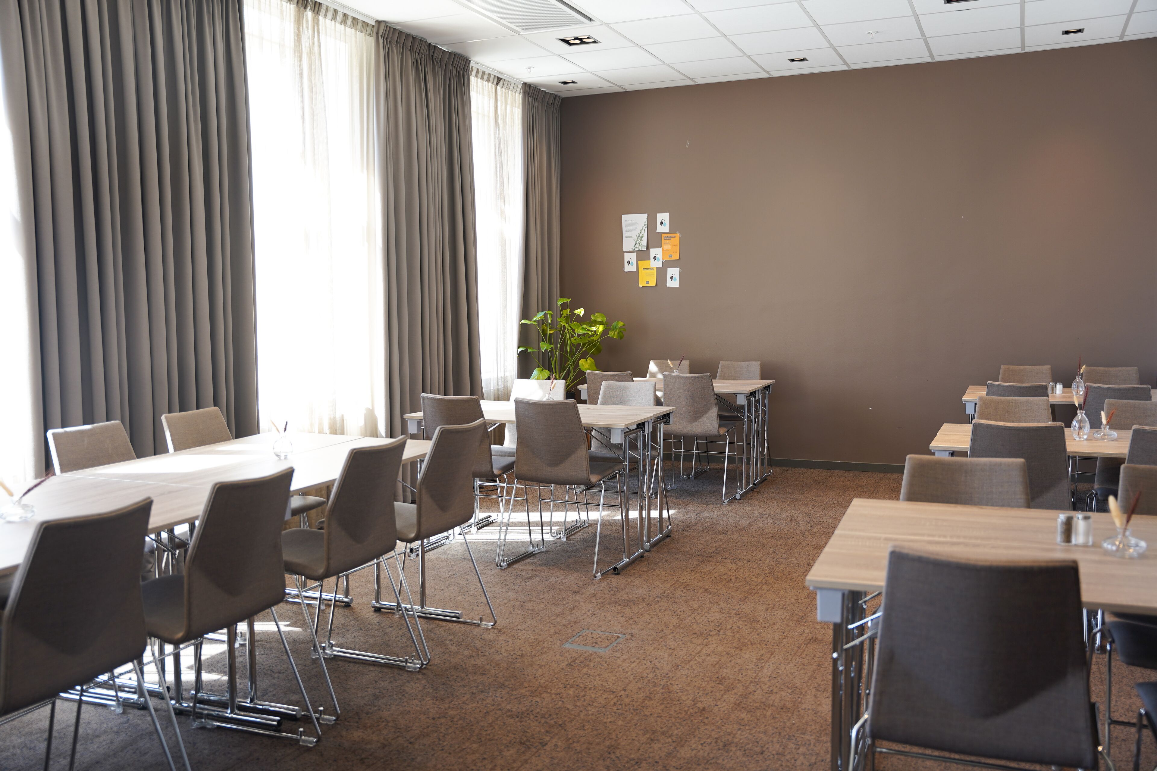 A conference room with a large table, chairs, and a potted plant.