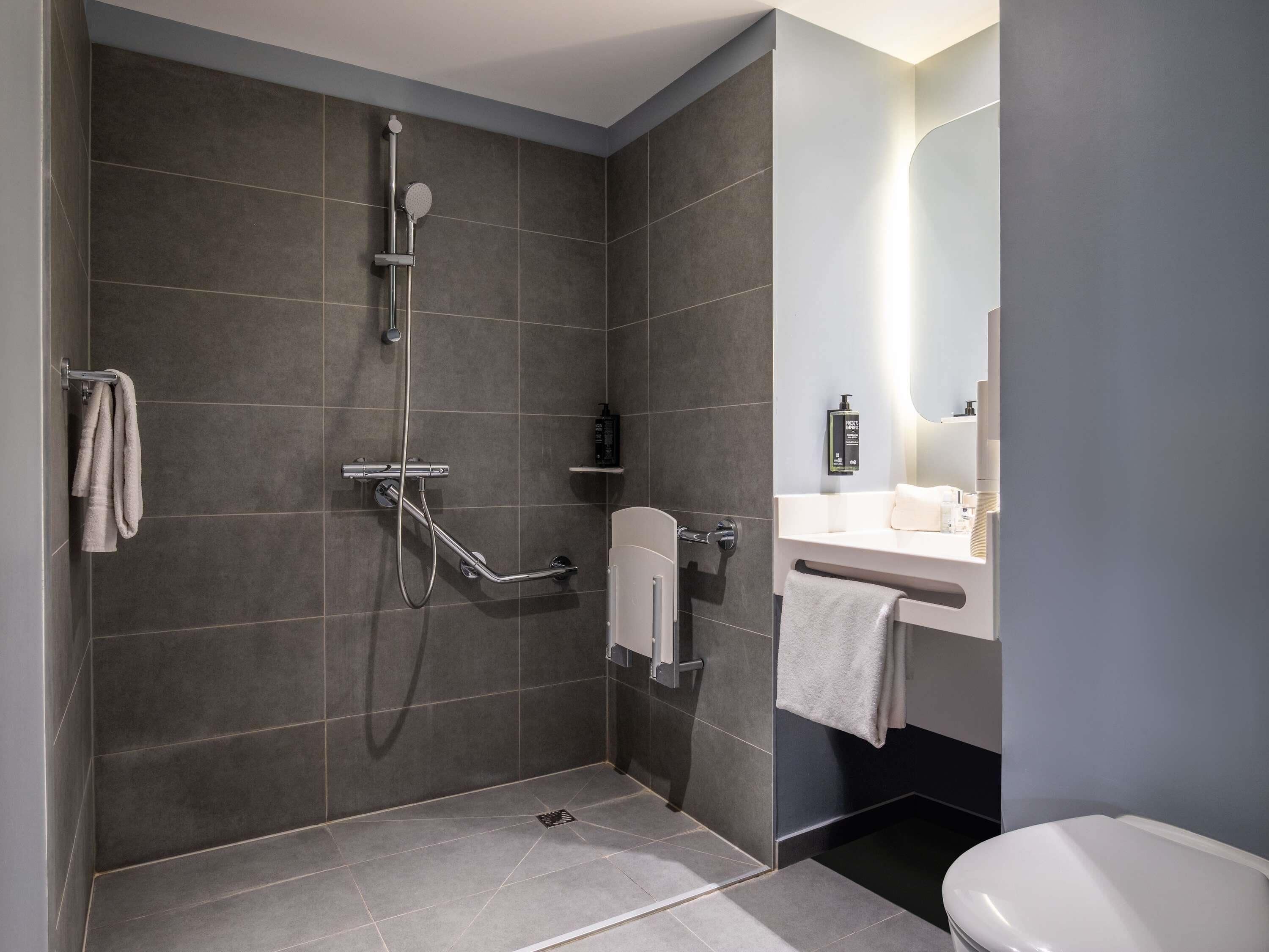 A modern bathroom with a walk-in shower, a toilet, and a sink.