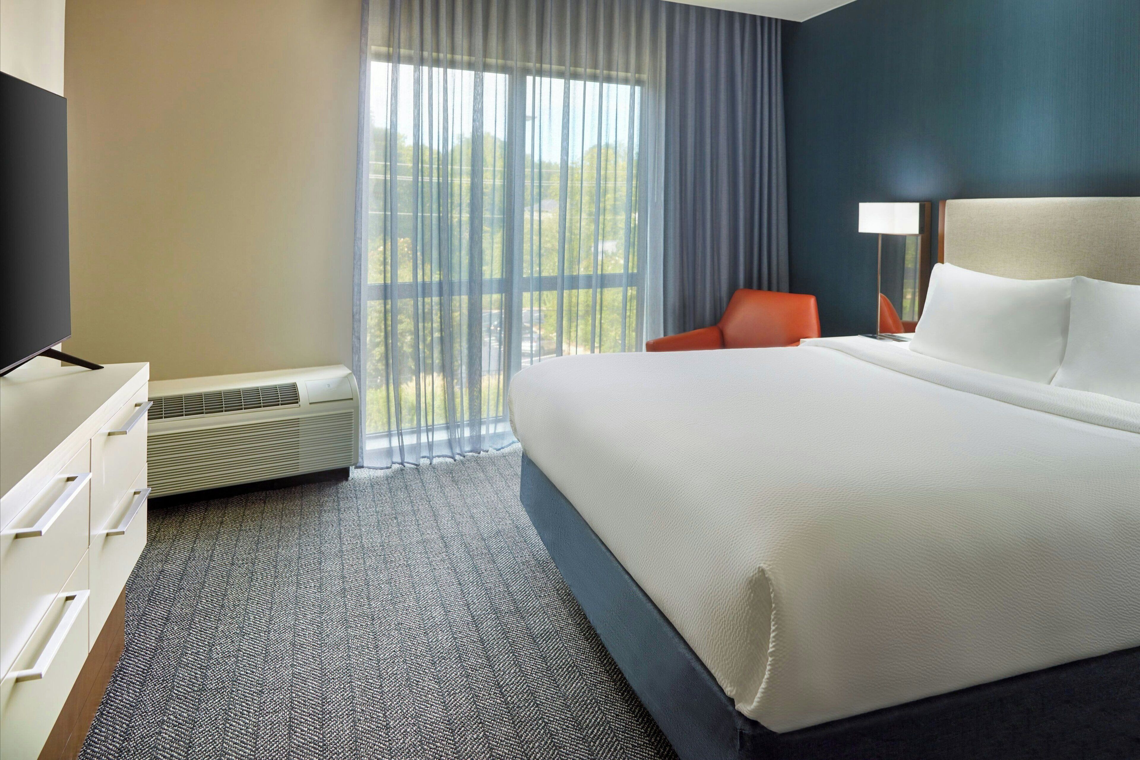 Room, 1 King Bed with Sofa bed