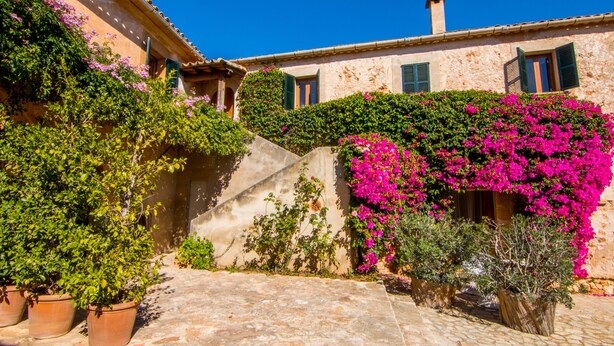 A courtyard with a stone floor, potted plants, and a building with pink flowering vines. - Agroturismo Petit Hotel Son Perdiu - Adults Only (Llucmajor)
