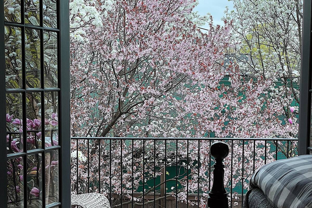 A room with a large sliding glass door leading to a balcony with cherry blossom trees.