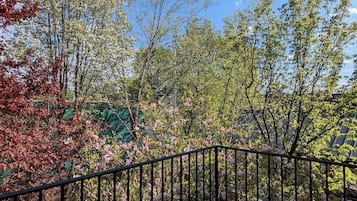 Room, 1 King Bed, Balcony, Garden View | Balcony view