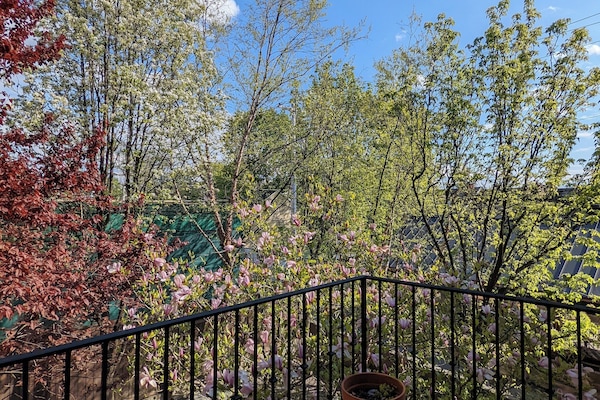 Room, 1 King Bed, Balcony, Garden View | Balcony view