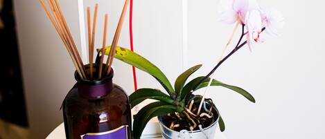 A small white table with a bottle of Bacche di Toscana, a potted plant, and a lamp.