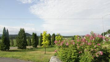 A rural landscape with a road, trees, and flowering bushes.