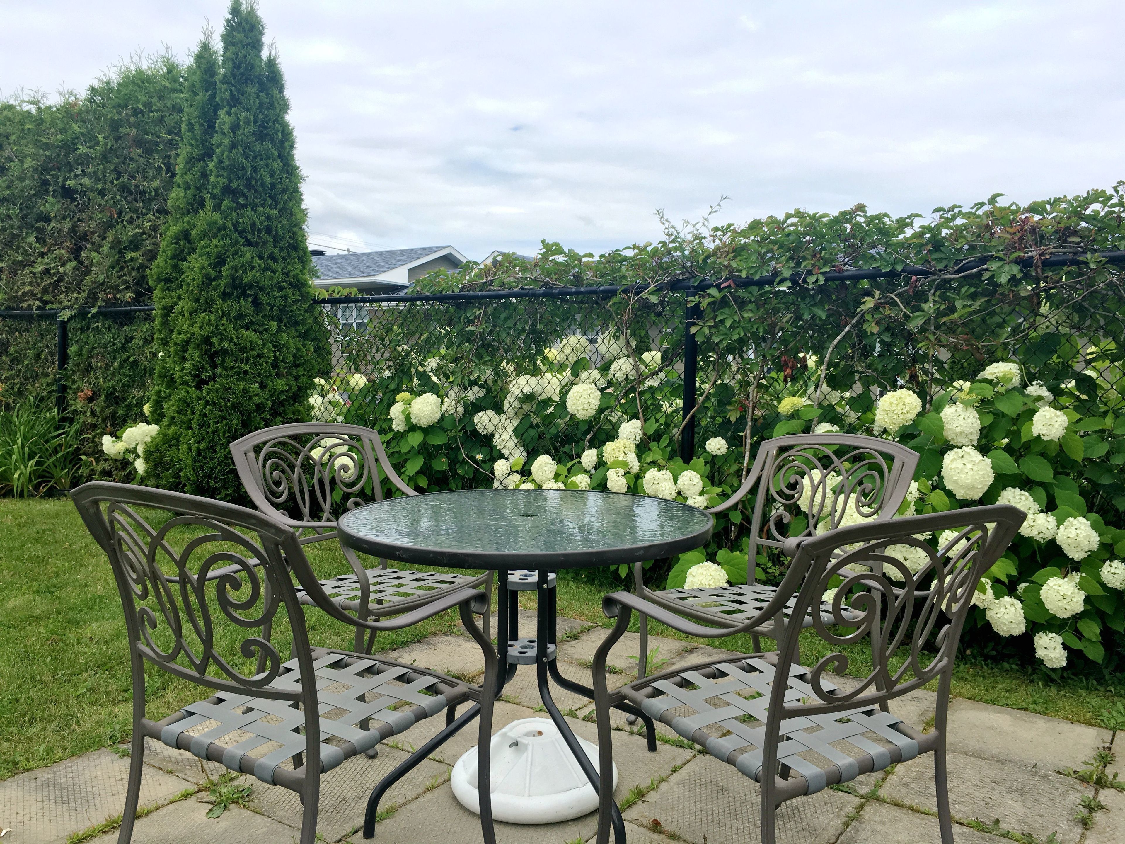 テラス / パティオ