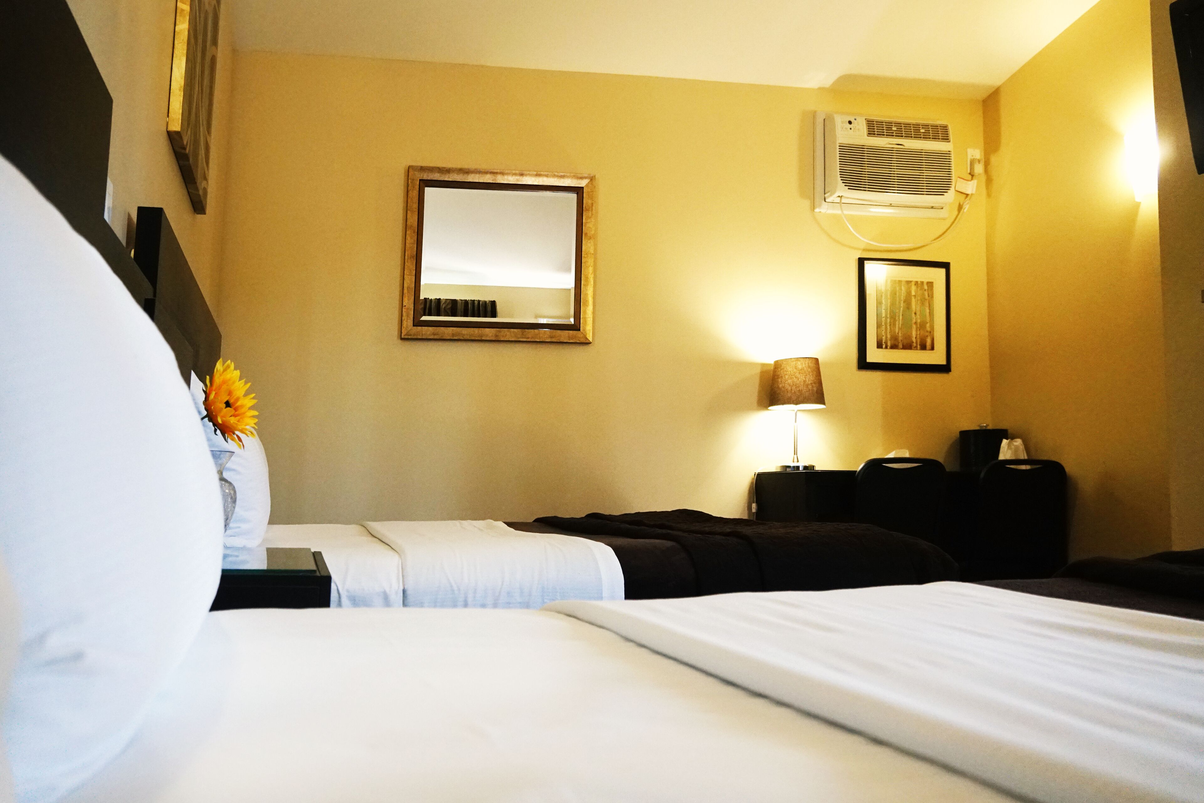 Habitación de hotel con dos camas, una mesita de noche con lámpara, equipo de aire acondicionado y un cuadro en la pared.