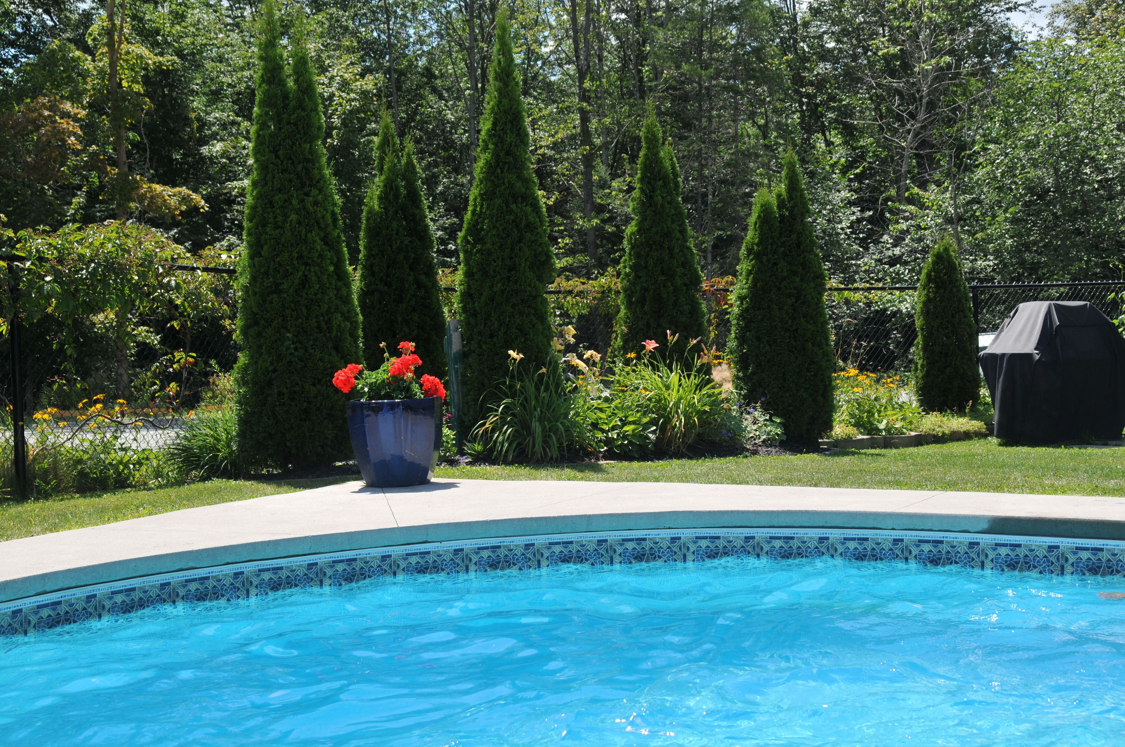 Piscina externa sazonal