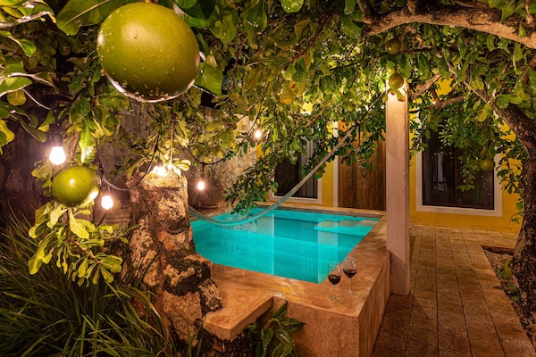 室外游泳池,日光浴躺椅