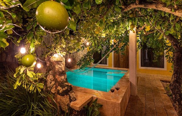 Outdoor pool, pool loungers