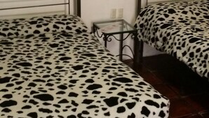 Double Room - Hotel Posada Morelos (Zacatecas)