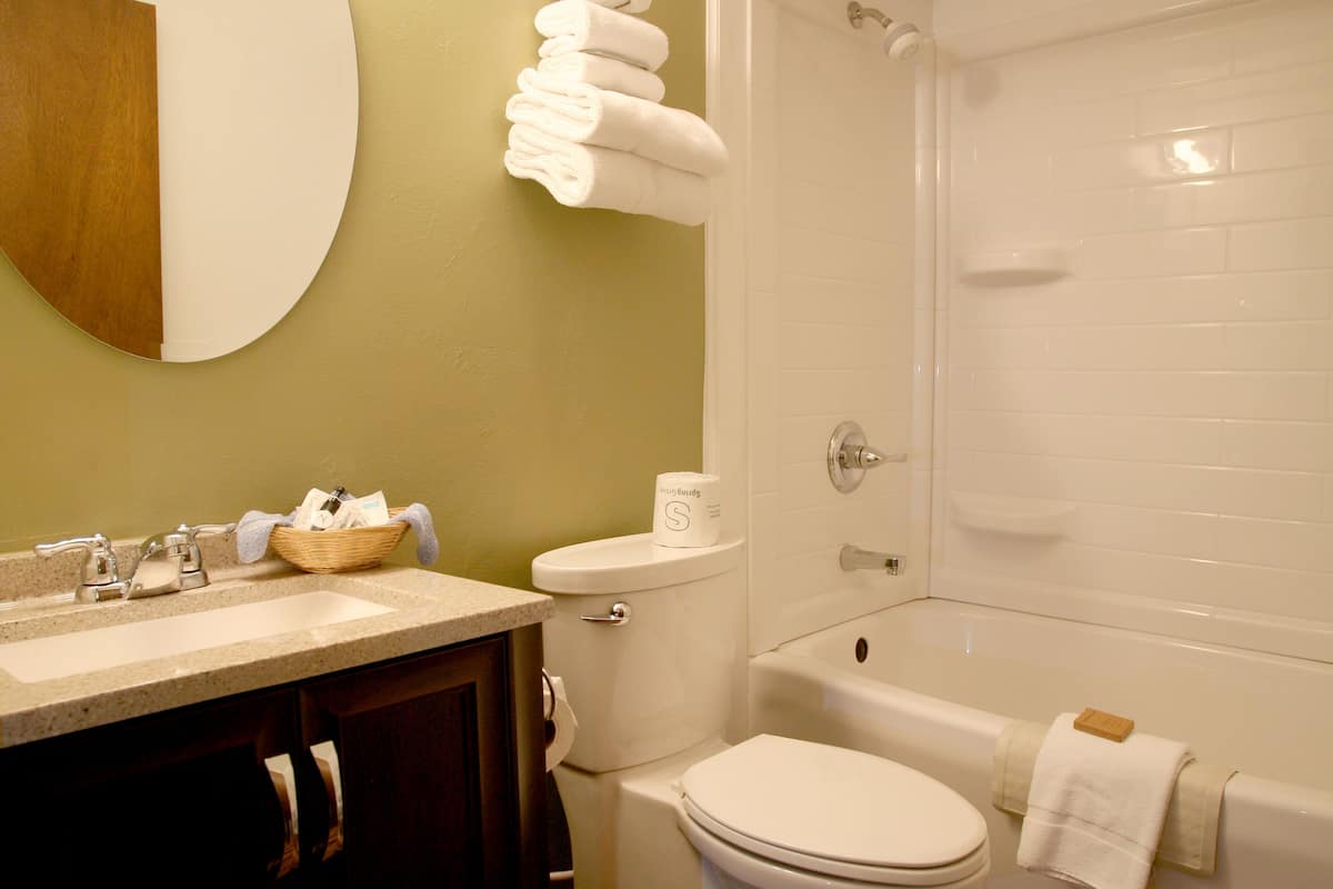 combined shower/bathtub, free toiletries, hair dryer, towels