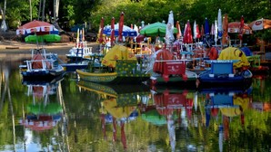 A calm water body with several boats docked, surrounded by colorful umbrellas and trees in the background. - Pousada Jardins do Porto (Ipojuca)