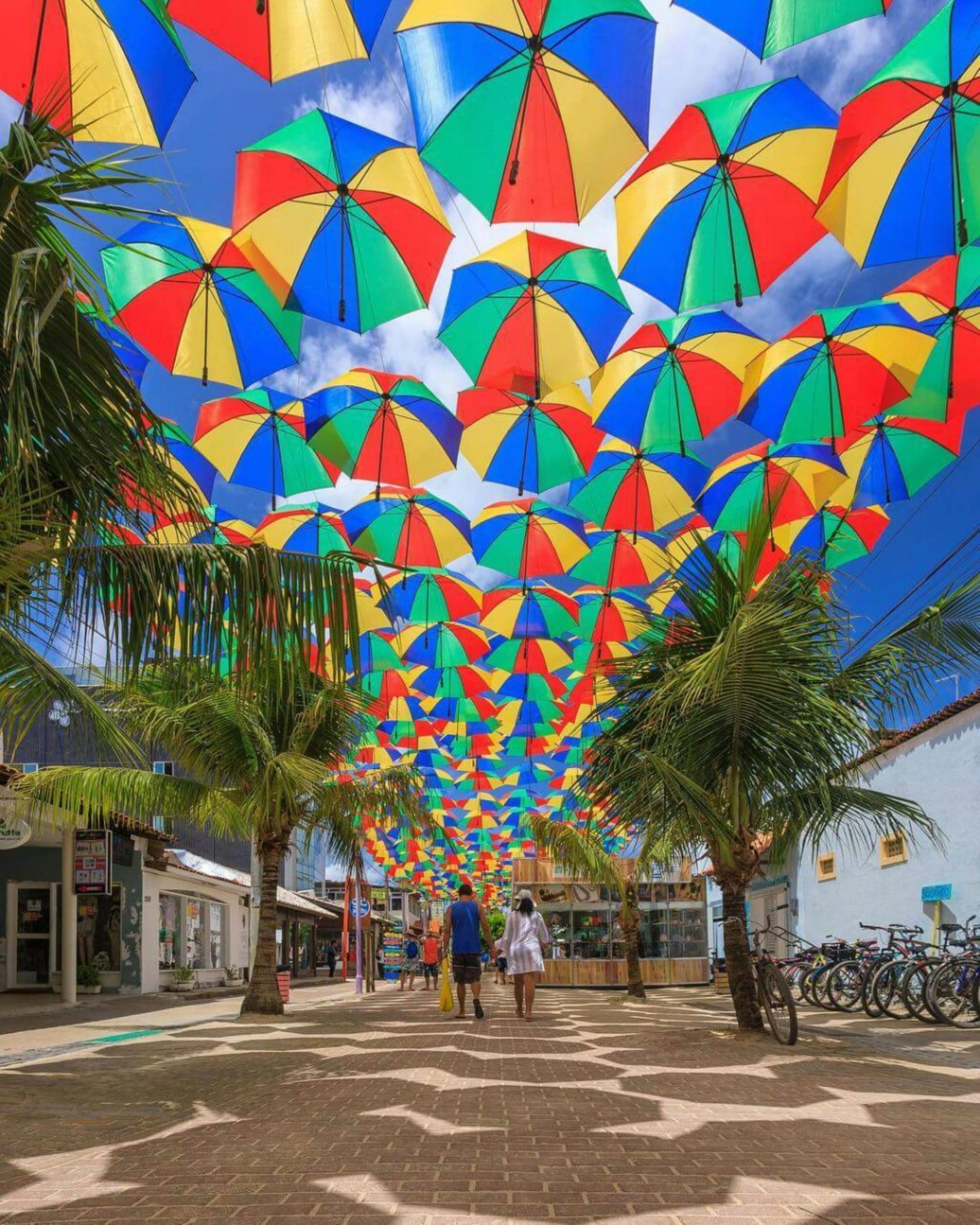 Una calle bordeada de palmeras y una fila de bicicletas estacionadas al costado.