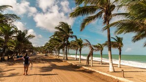 A sandy beach road lined with palm trees, leading to the ocean. - Pousada Jardins do Porto (Ipojuca)