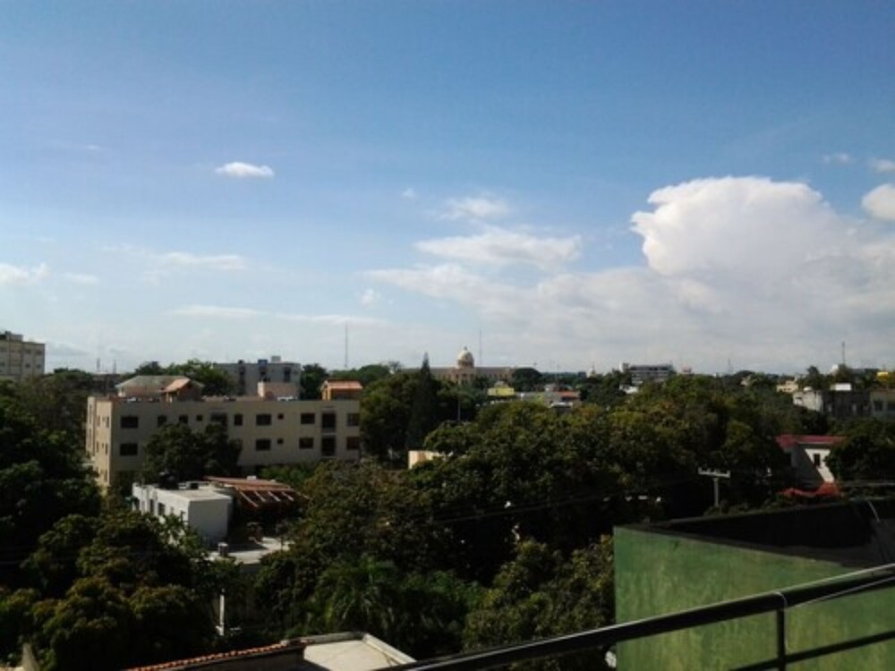 Green House Hotel by null