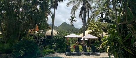Piscine extérieure, parasols de plage, chaises longues