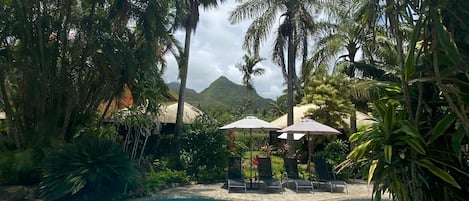 Outdoor pool, pool umbrellas, sun loungers