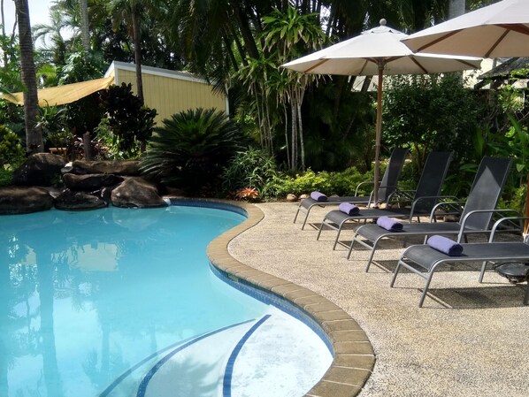 Un área de piscina con sillones y sombrillas, rodeada de plantas tropicales y una pequeña cascada.