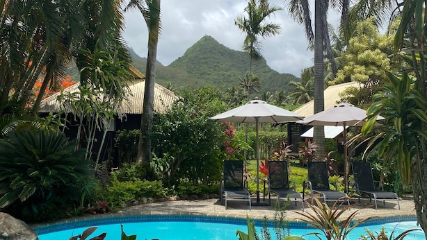 A pool area with lounge chairs and umbrellas, surrounded by tropical vegetation and a mountain in the background. - Ikurangi Eco Retreat (Rarotonga)