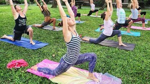 Un groupe de personnes pratiquant le yoga sur des tapis, dans un cadre extérieur avec de l’herbe et des arbres.