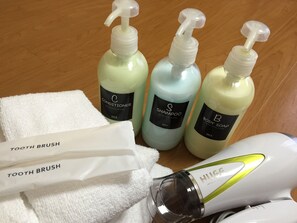 Combined shower/tub, free toiletries, hair dryer, slippers