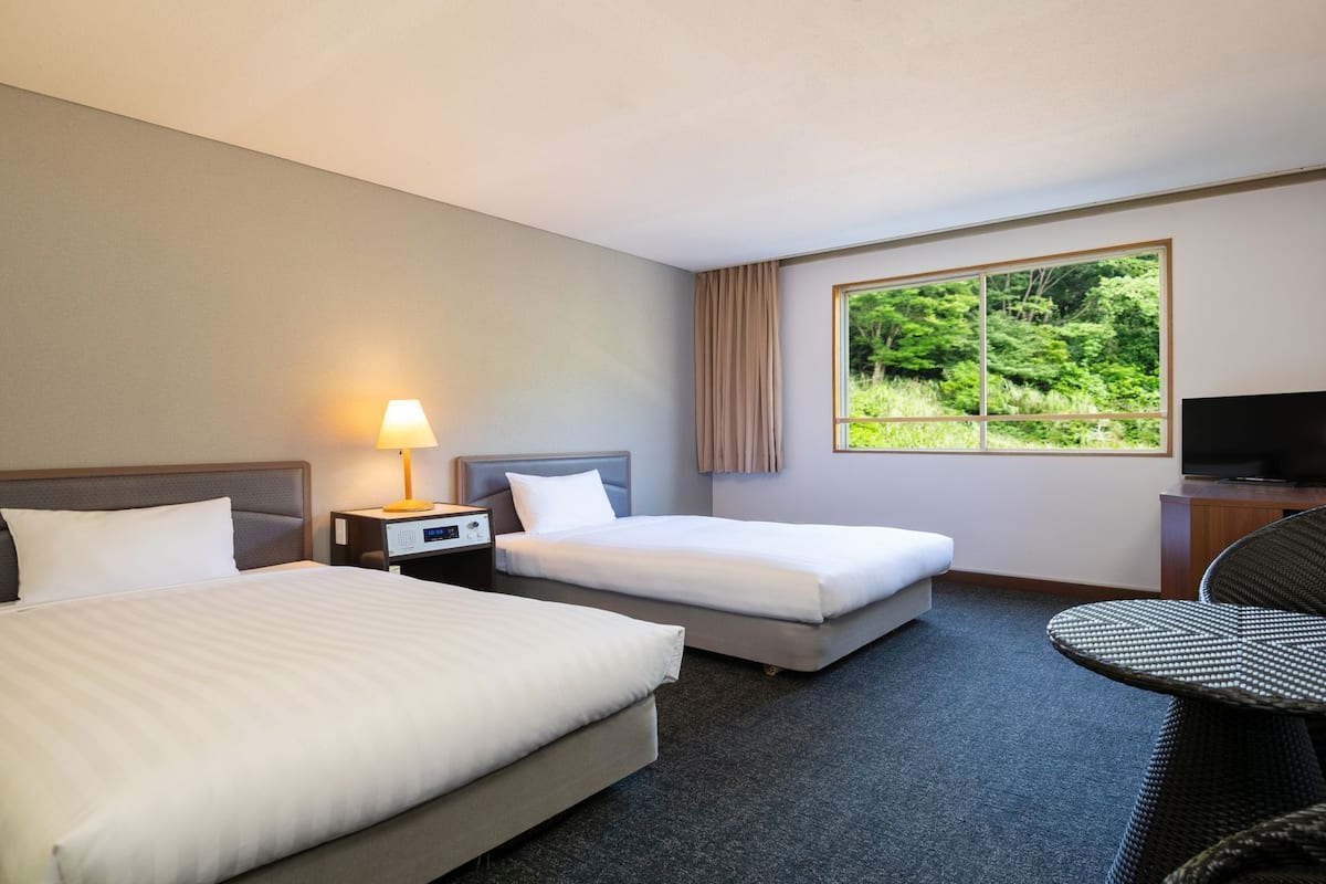 Une chambre d’hôtel avec deux lits, une télévision, une chaise et une fenêtre donnant sur un paysage verdoyant.