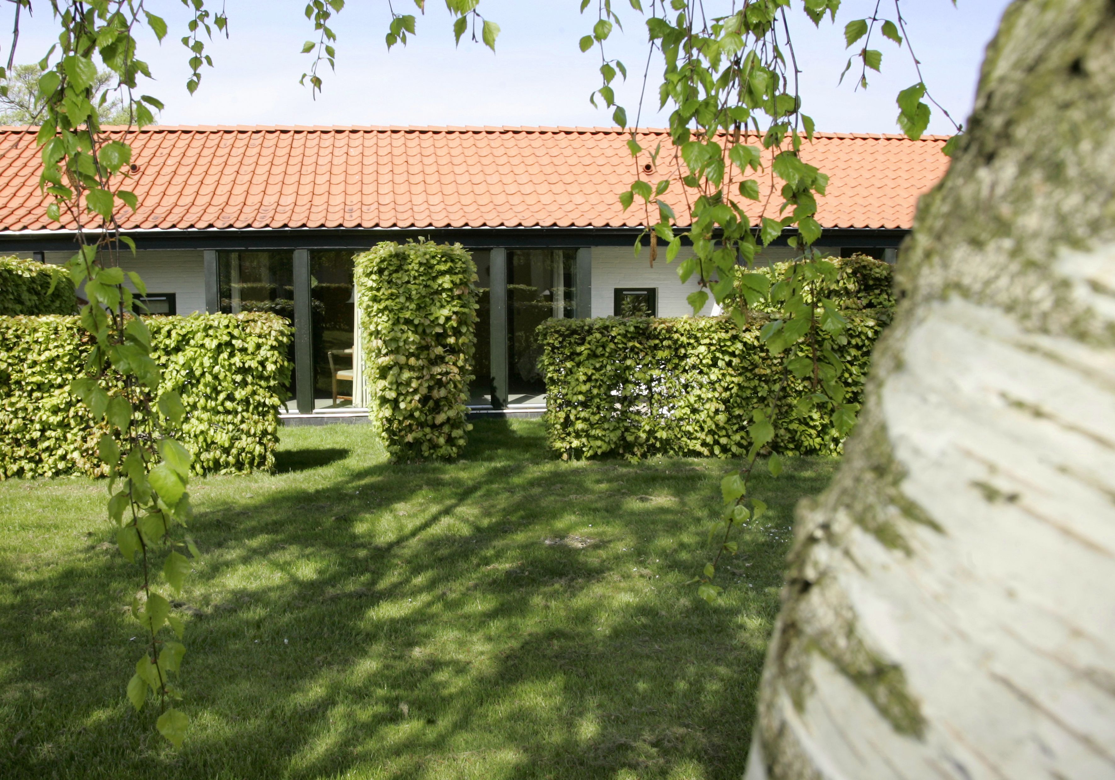 Jardin
