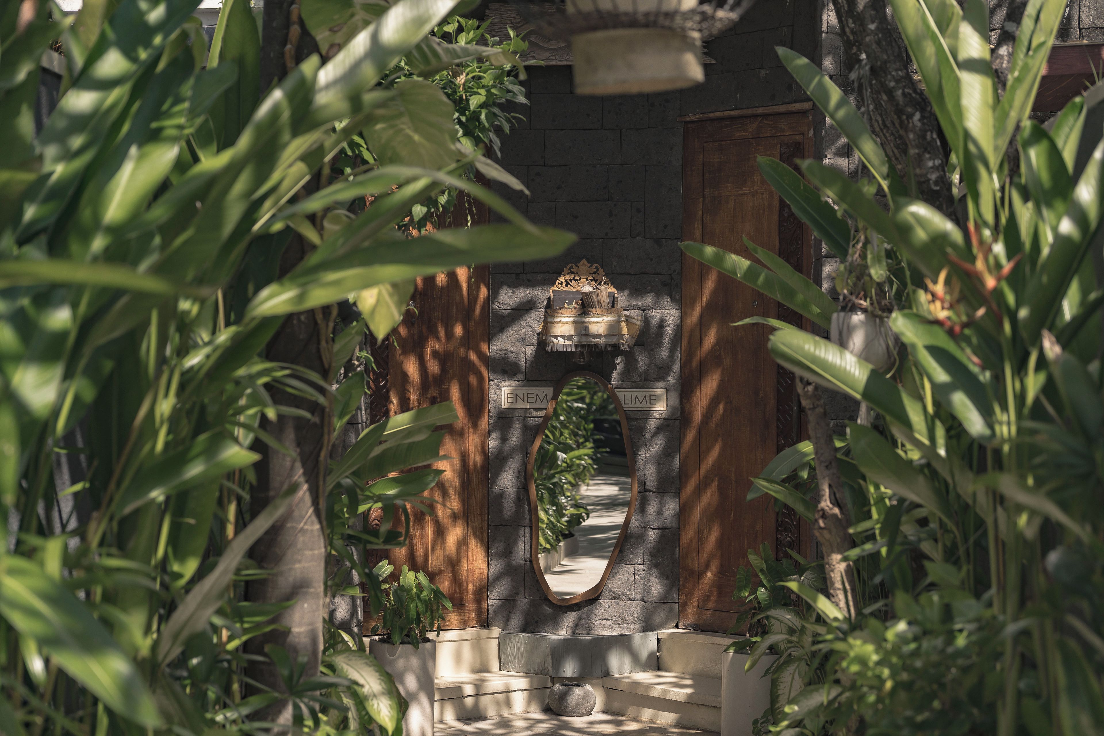 A stone archway with a wooden door, surrounded by lush greenery.