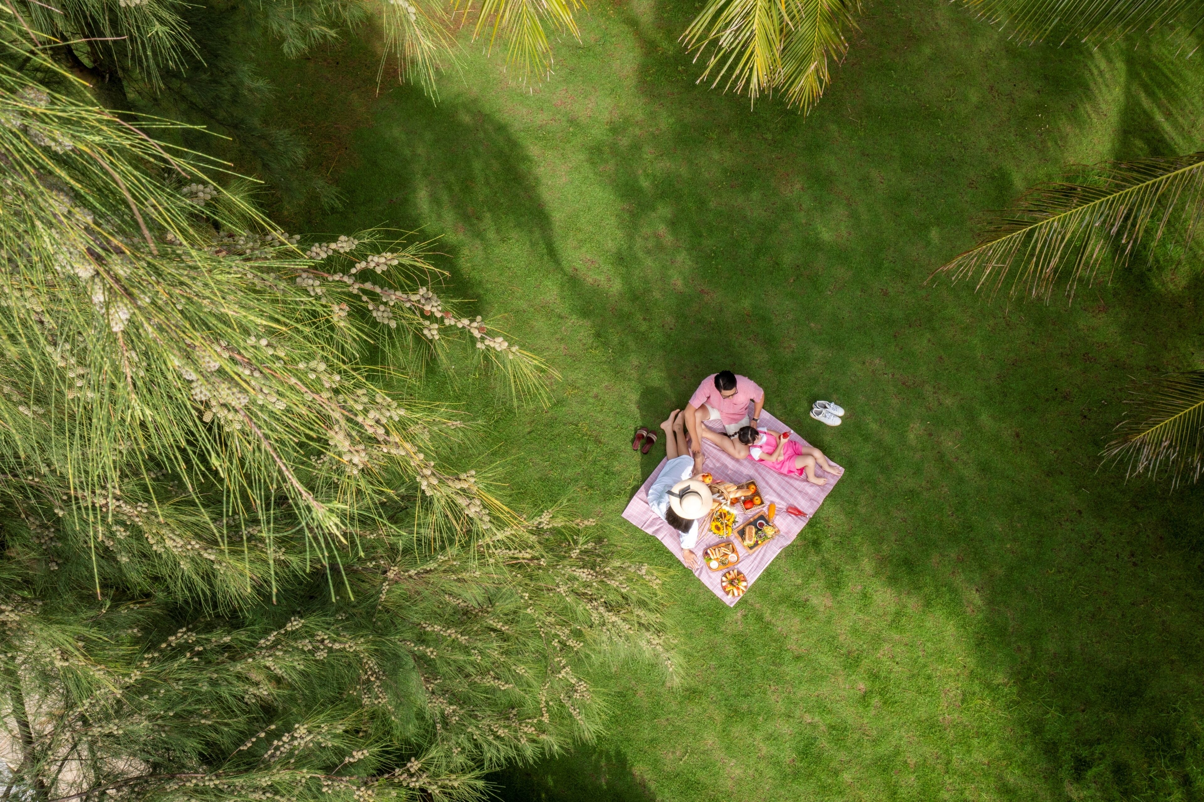 A person sitting on a blanket with a picnic setup in a grassy area surrounded by trees.