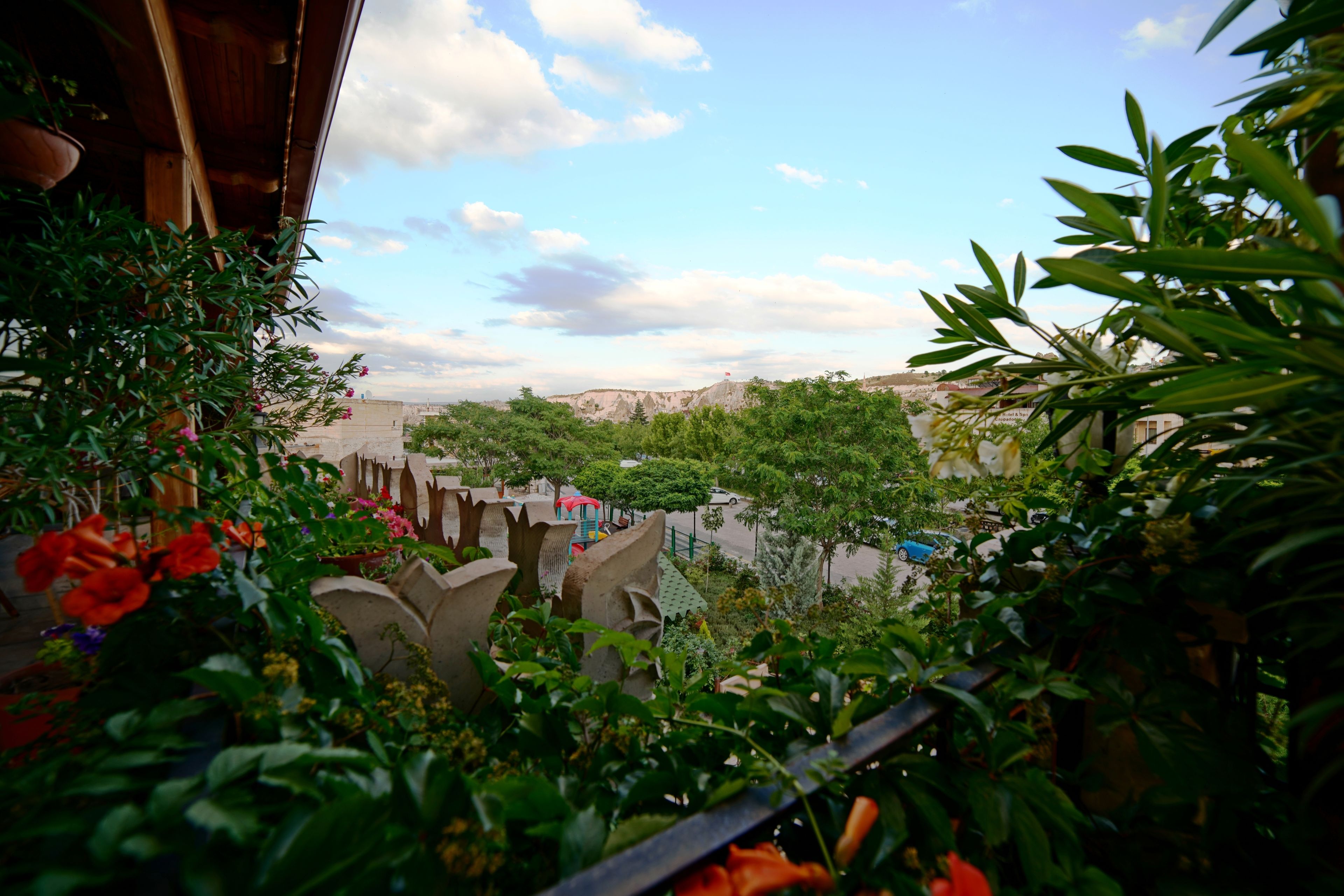 Foto - Alaturca House