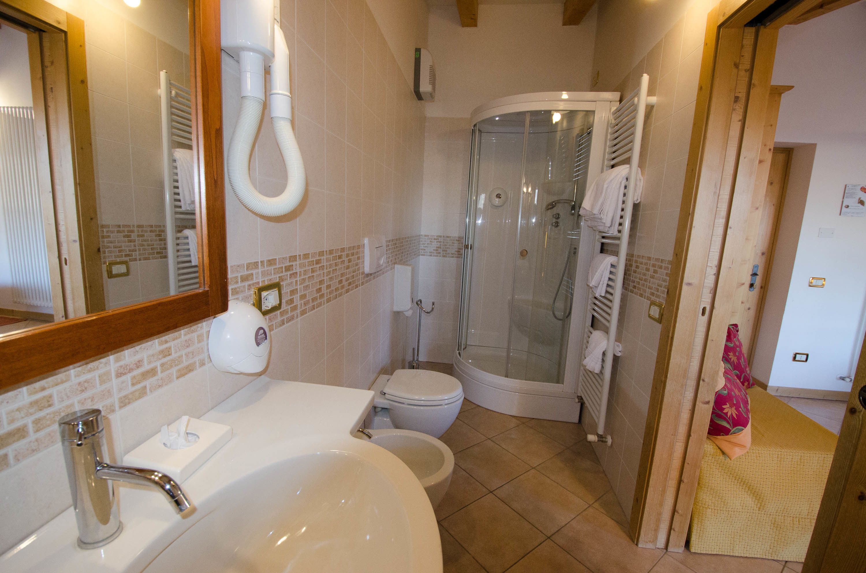 shower, hair dryer, bidet, towels