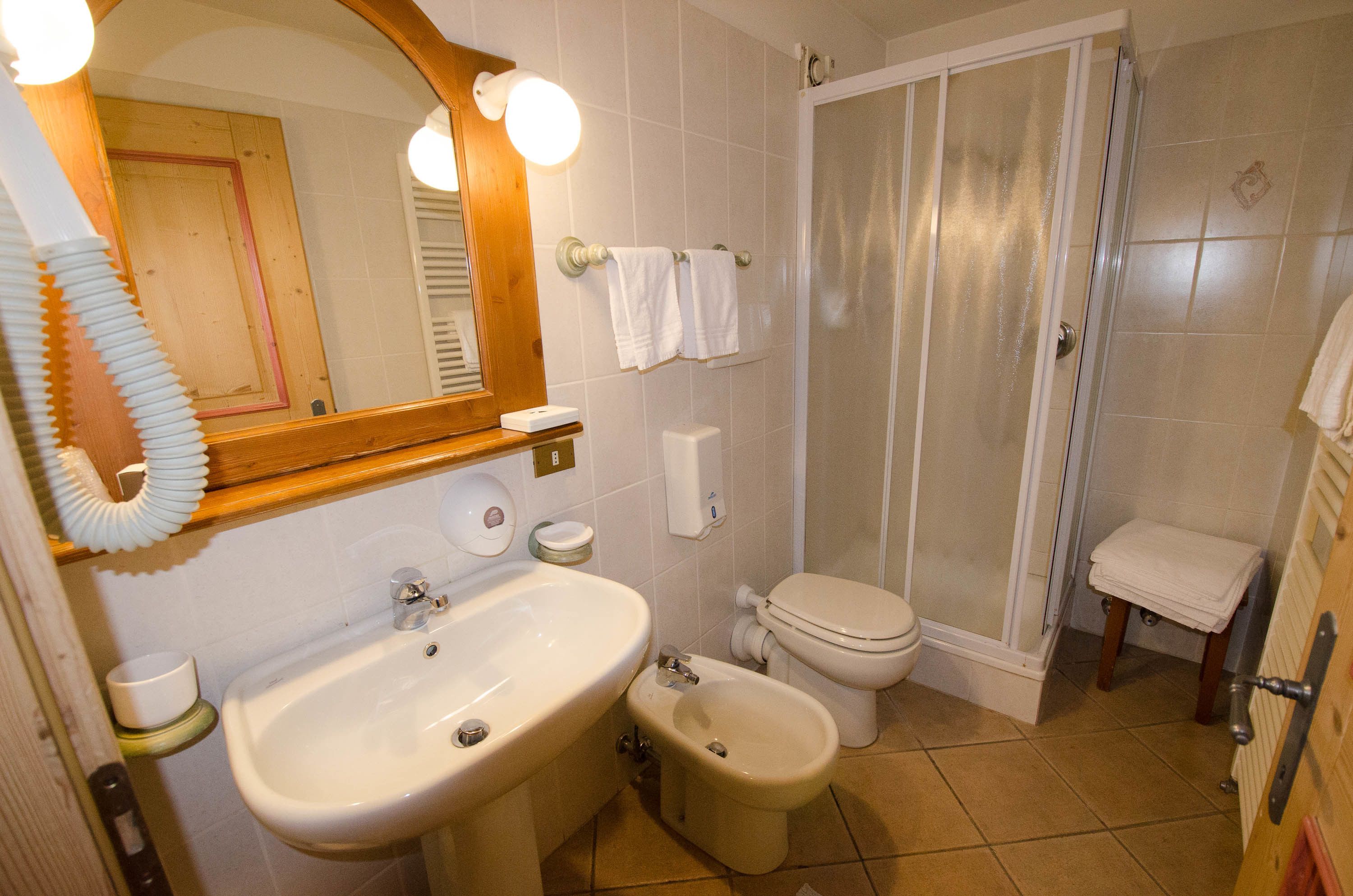 shower, hair dryer, bidet, towels