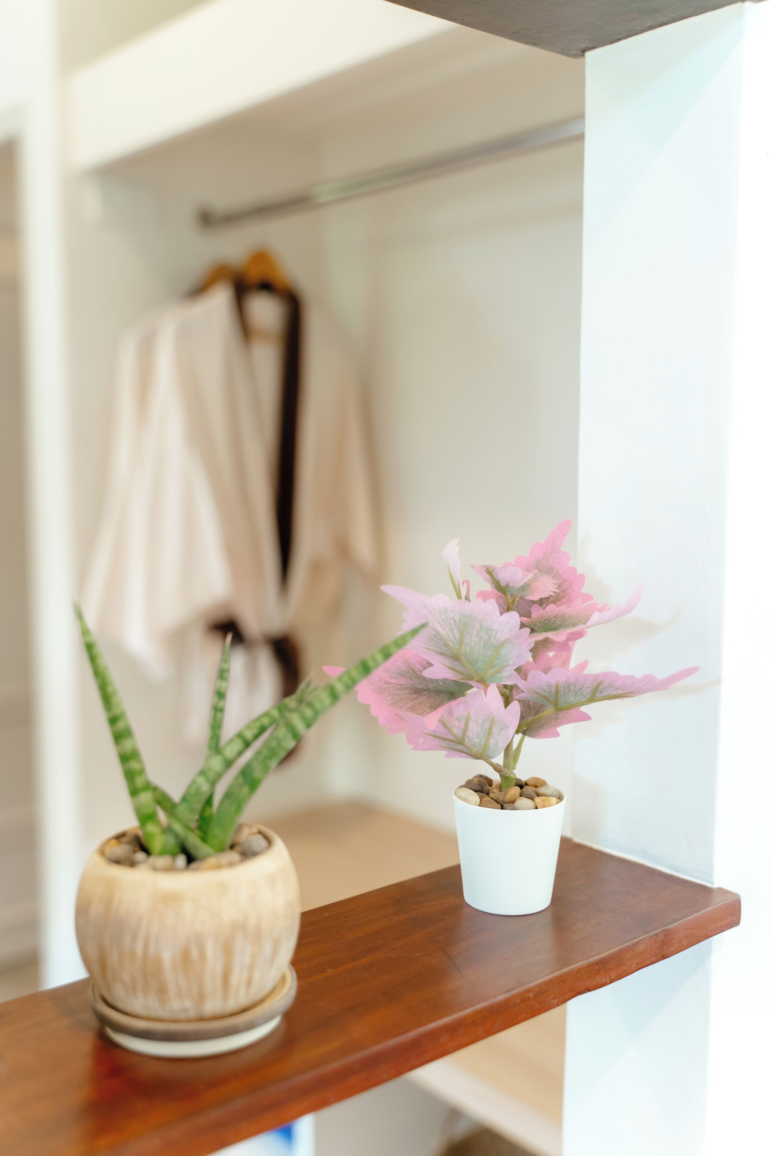 A wooden shelf with two potted plants.