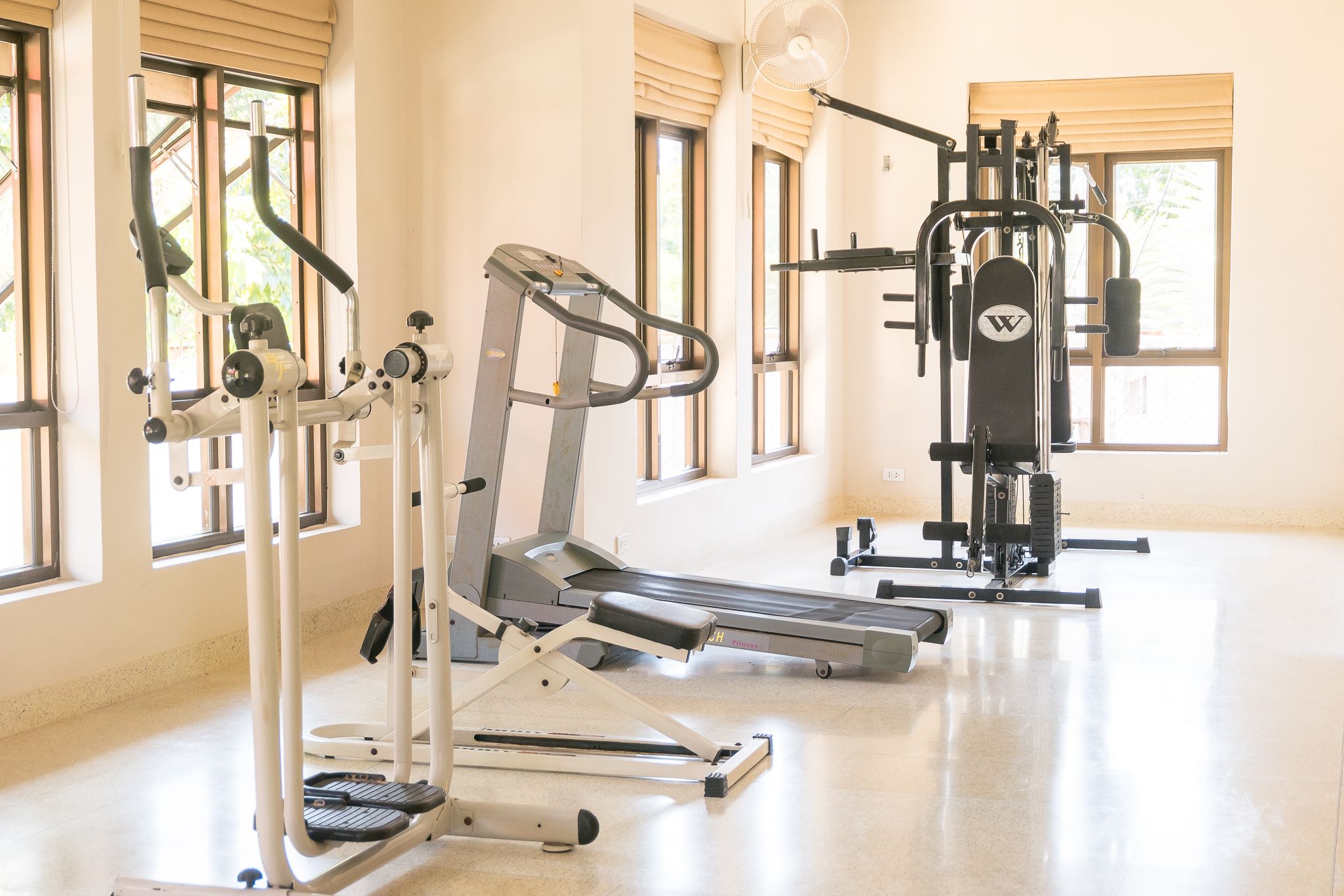 A gym with treadmills, weight machines, and a fan.