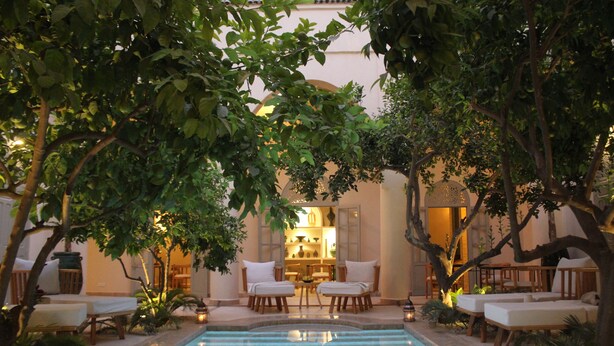 Una piscina interior con sillas de descanso y un área de estar, rodeada de árboles y plantas.