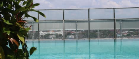 Outdoor pool, sun loungers