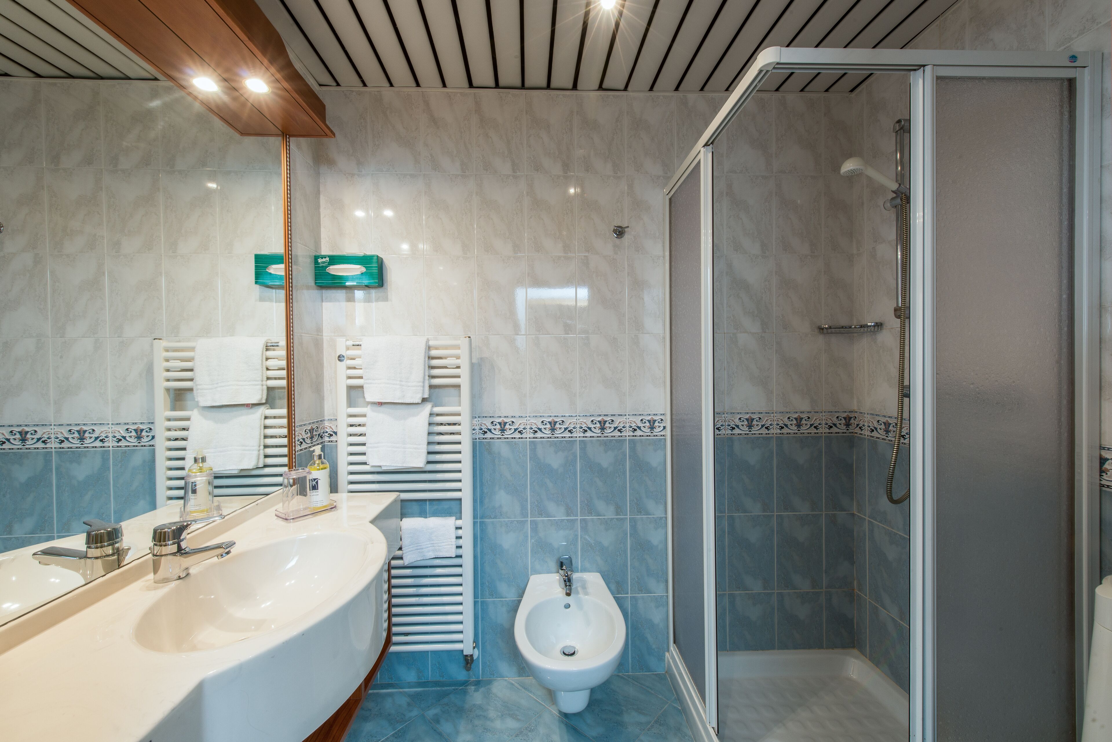 deluxe double or twin room | bathroom | shower, free toiletries, hair dryer, bidet