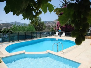 Outdoor pool, pool umbrellas, pool loungers