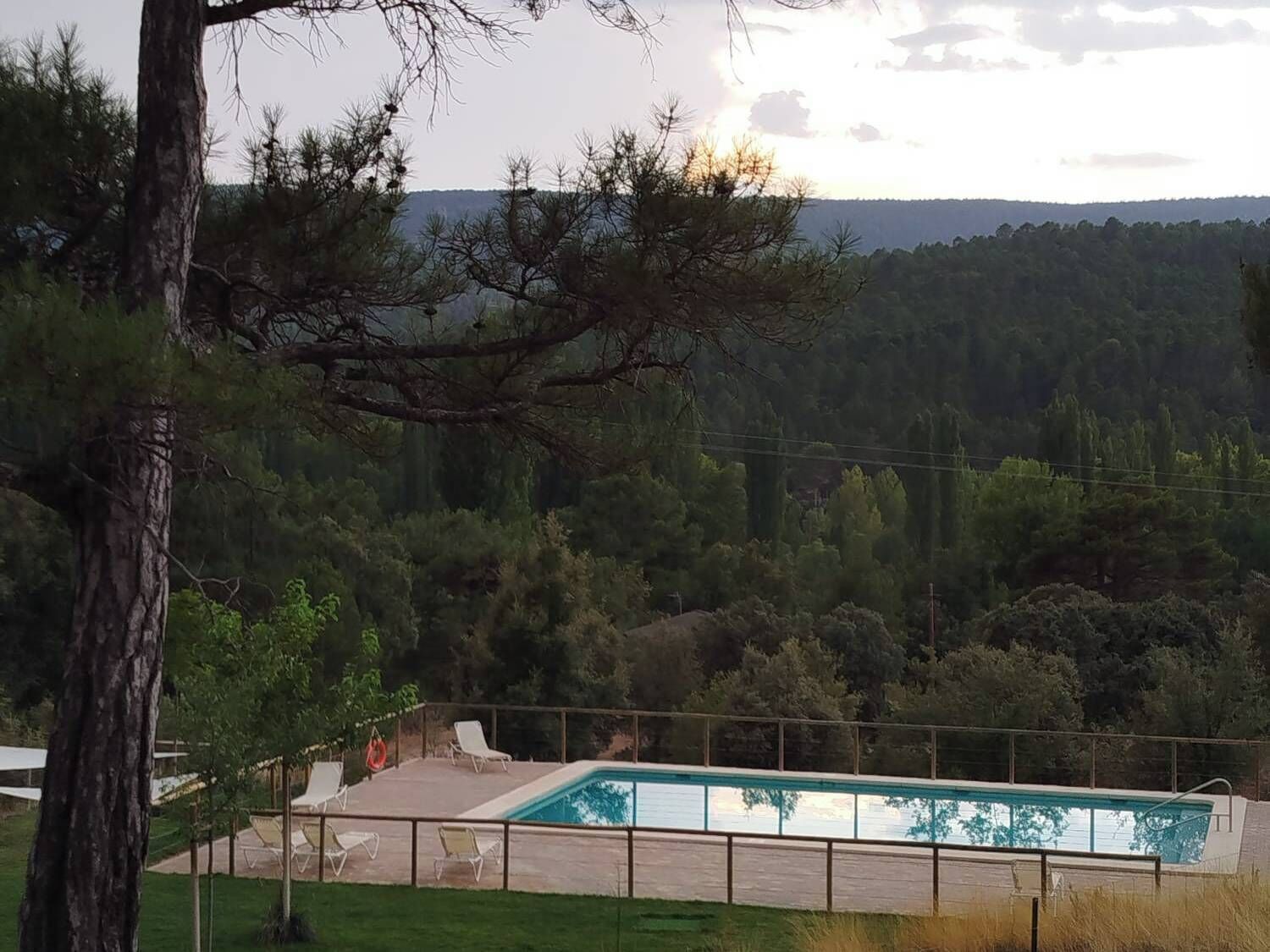 Una piscina con sillones de descanso, rodeada de árboles y vistas a una zona boscosa.