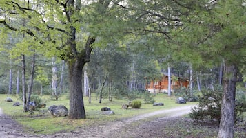 Ulkopuoli